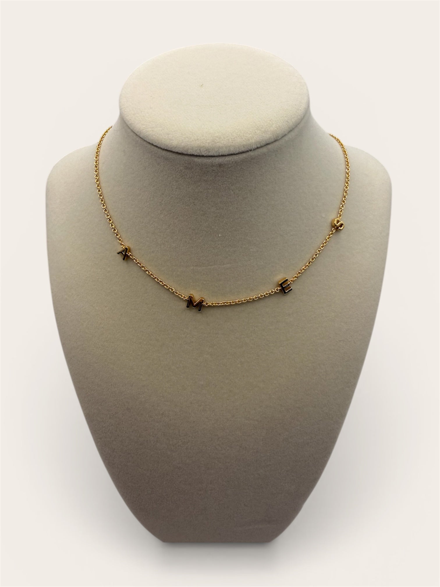 AMES Initial Necklace