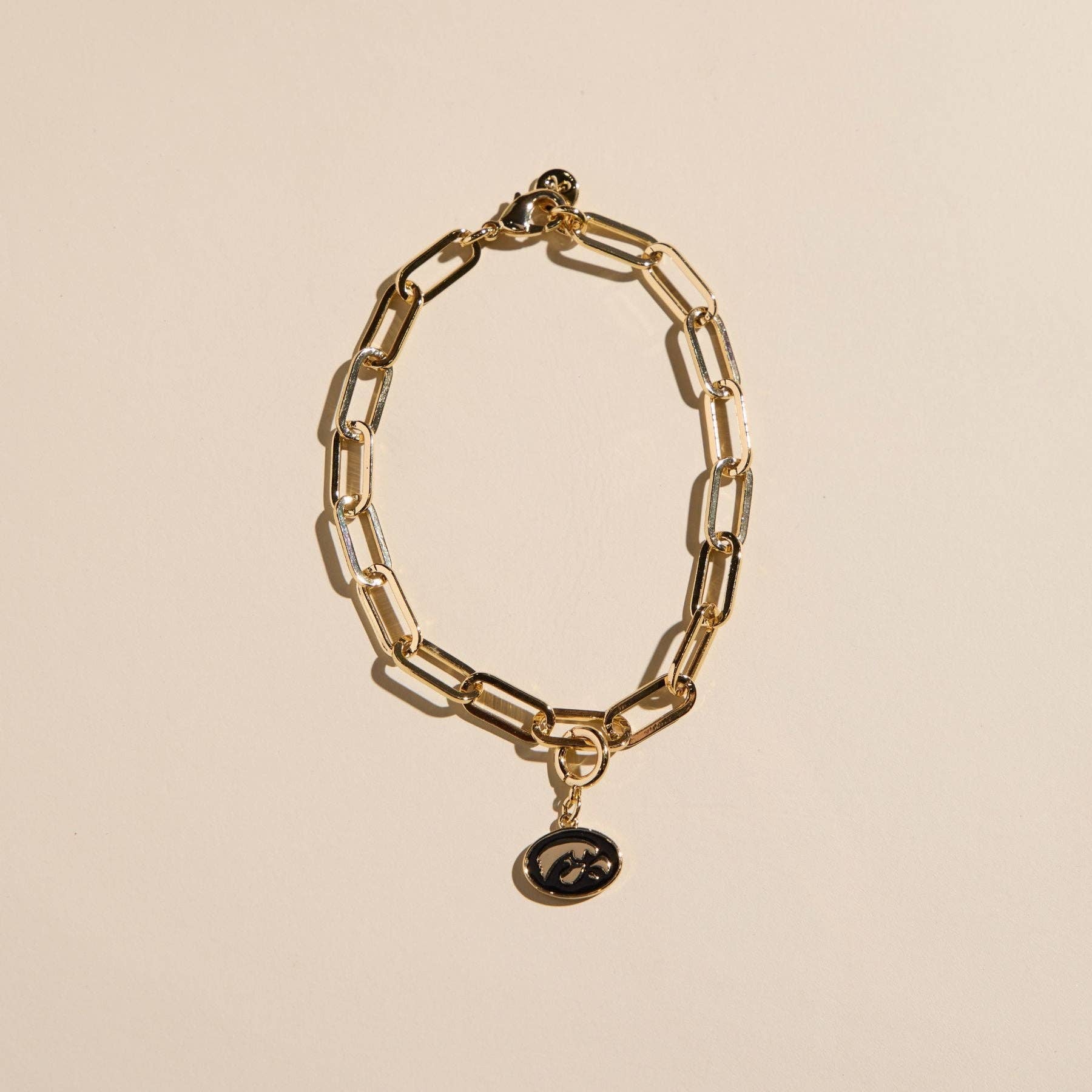 University of Iowa Tigerhawk Gold Charm Bracelet | The Tinsel Thread